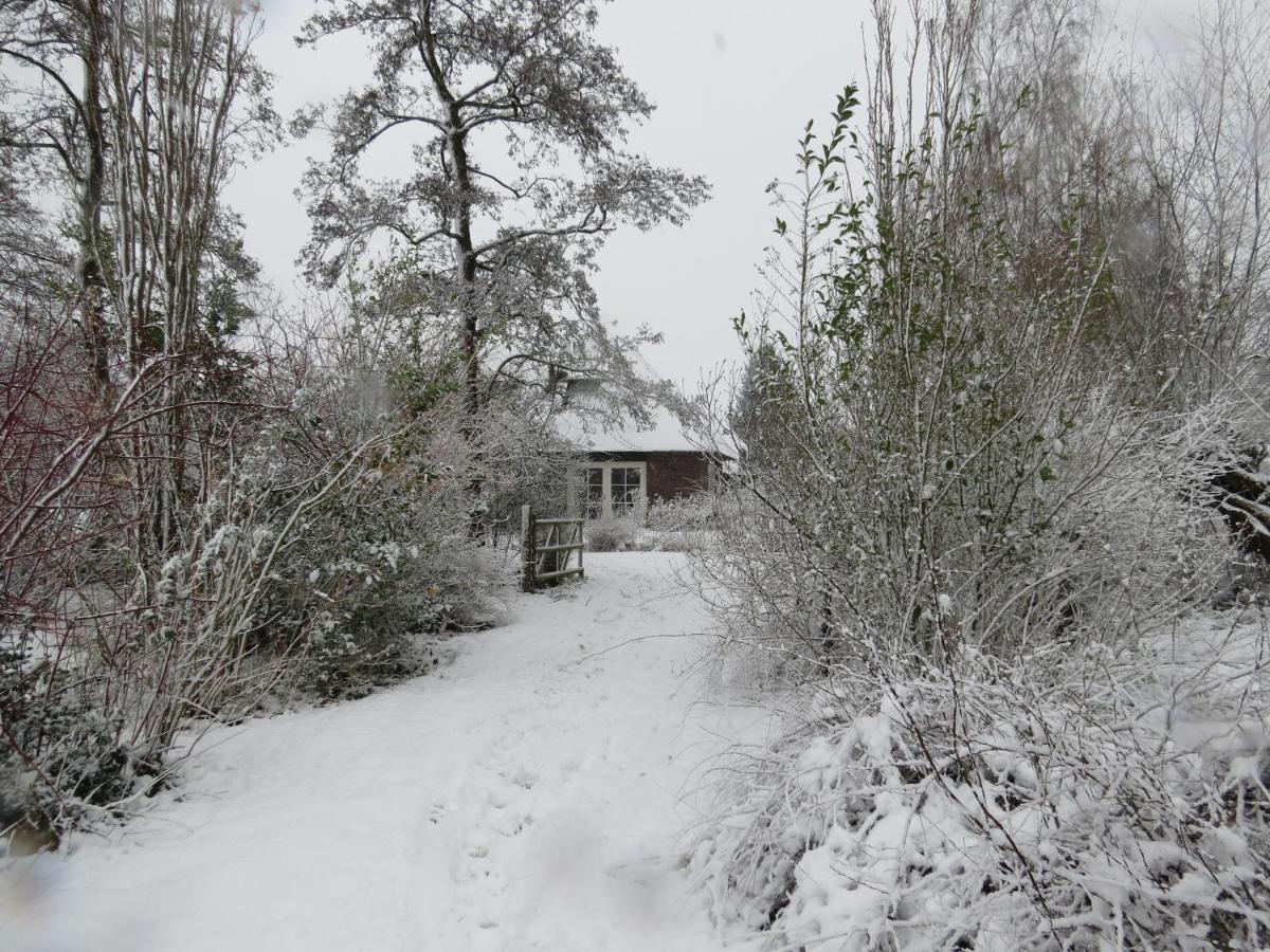 Uylkenshof Safaritenten En Natuurhuisjes Epe Exterior foto