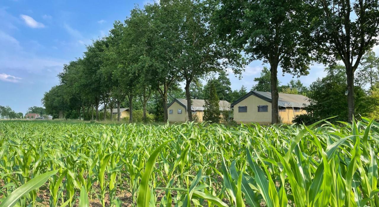 Uylkenshof Safaritenten En Natuurhuisjes Epe Exterior foto